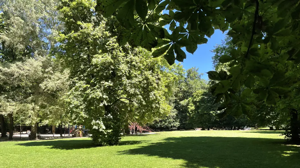 Grüner Rasen mit Kastanienbäumen, im Hintergrund ein Klettergerüst vom Spielplatz
