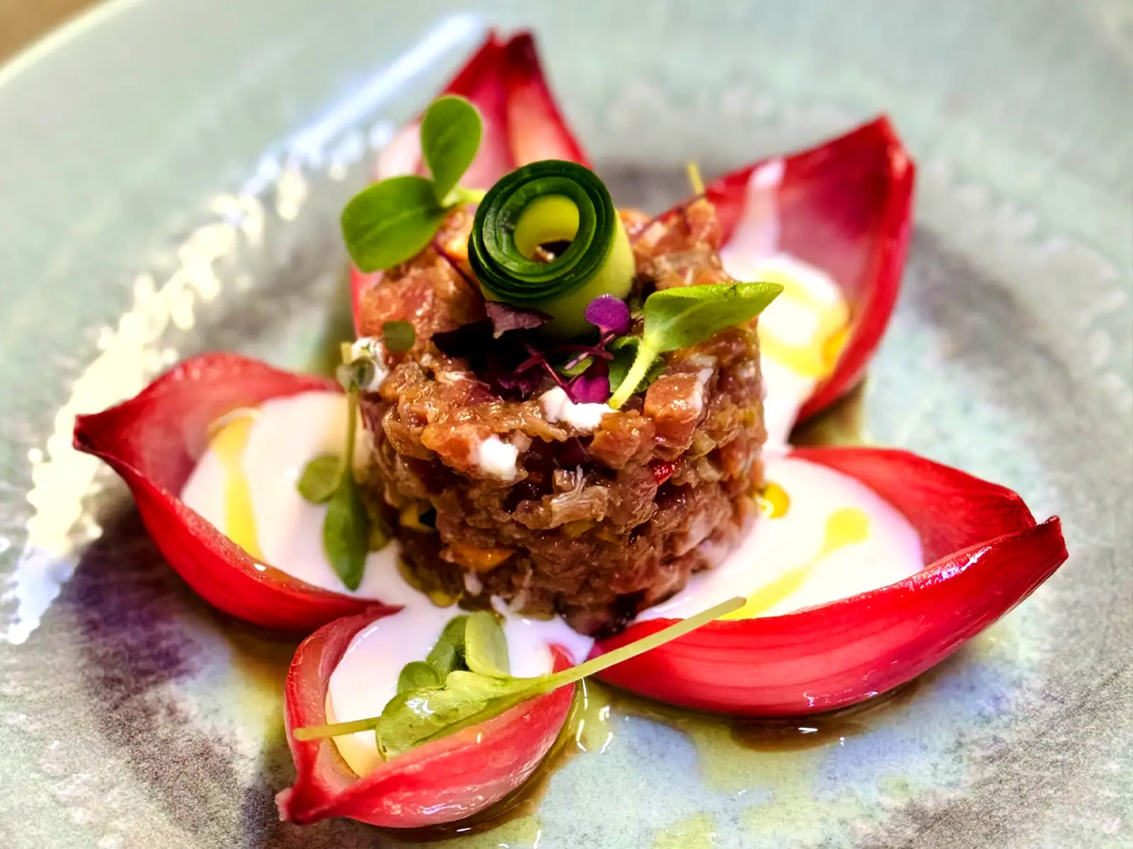 Thunfisch-Tartar mit Kokos-Mozzarella-Creme und karamellisierten Zwiebeln