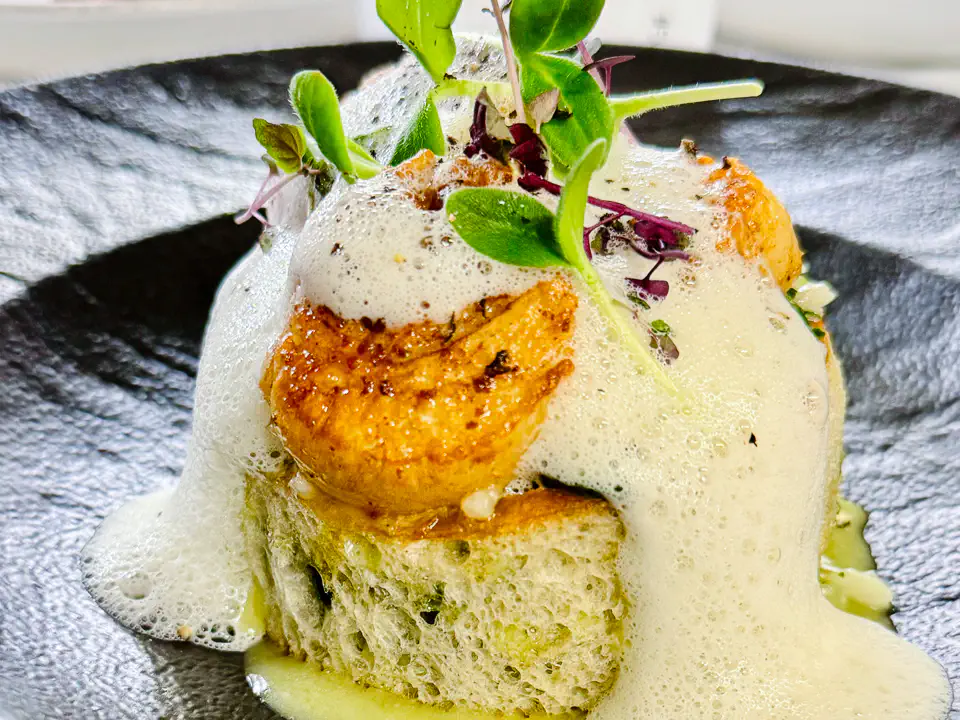 Gebratene Jakobsmuscheln auf Spinat-Risotto mit weißem Trüffelschaum