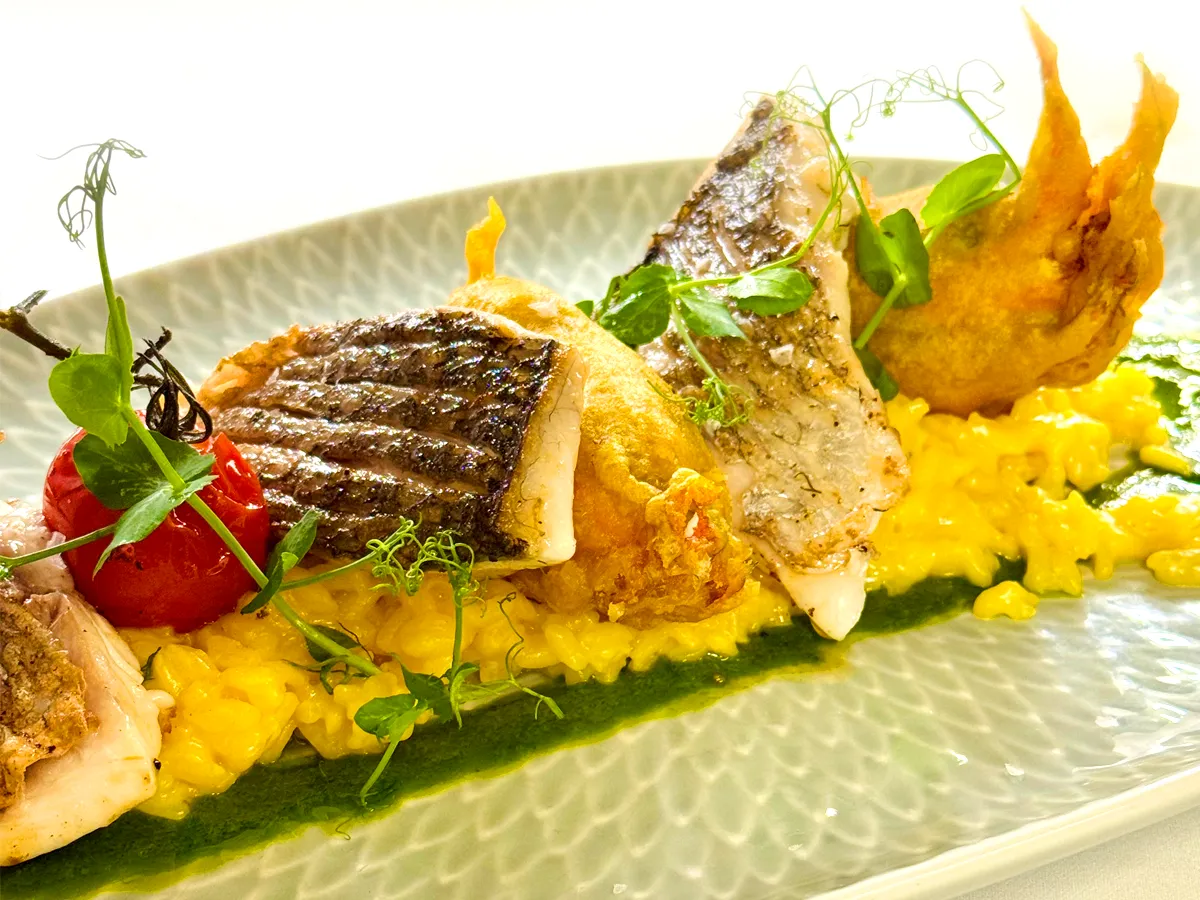 Wildfang-Goldbrassenfilet mit Zitronen-Thymian-Sauce, gefüllten Zucchiniblüten mit Büffelricotta und Safranrisotto