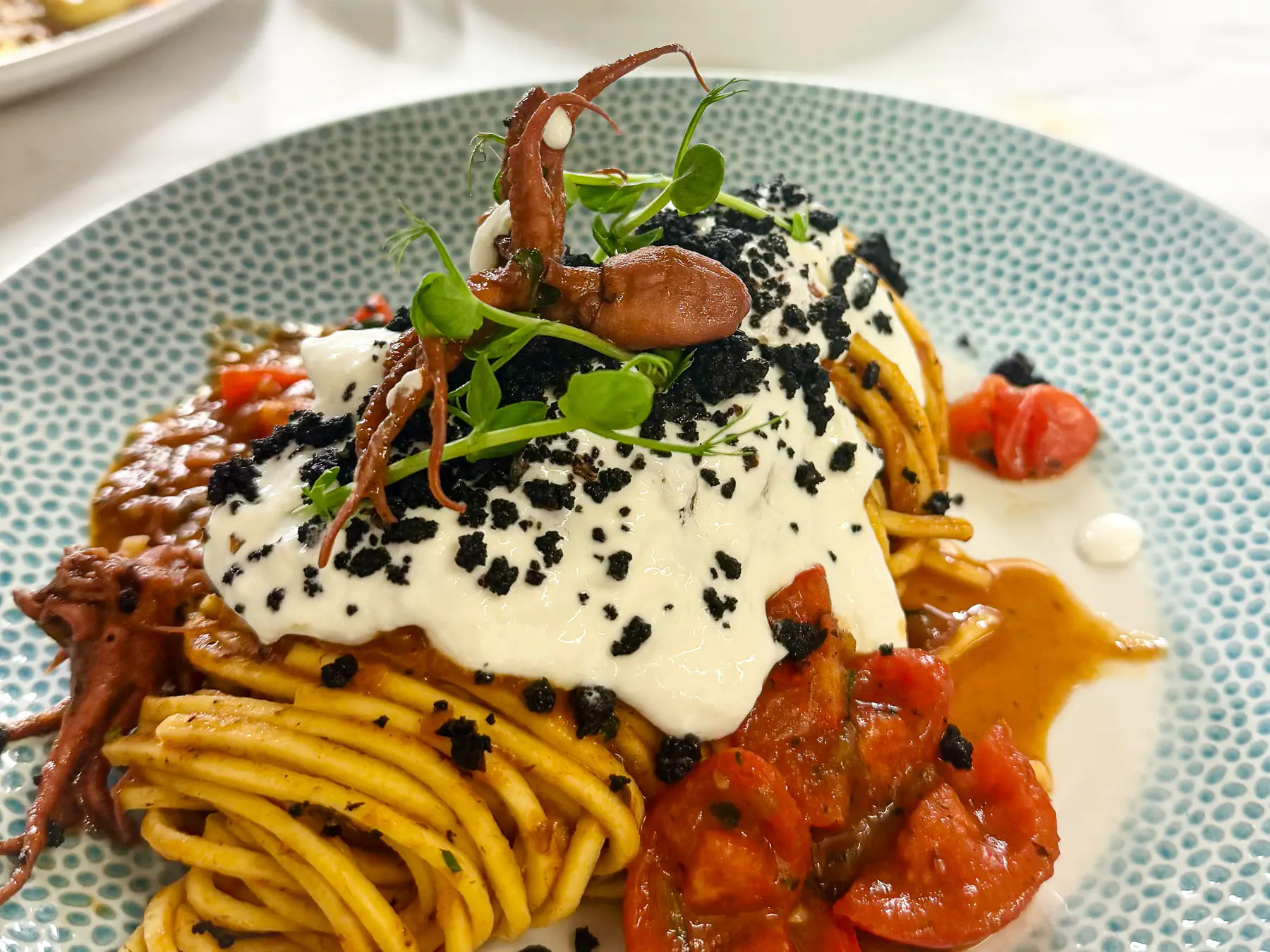 Auf einem hellblauen Teller angerichtete Pici-Pasta mit rötlich-braunem Pulpo-Ragout, cremiger weisser Sauce, schwarzen Olivenkrümeln, Kirschtomaten und frischen grünen Microgreens als Garnitur.