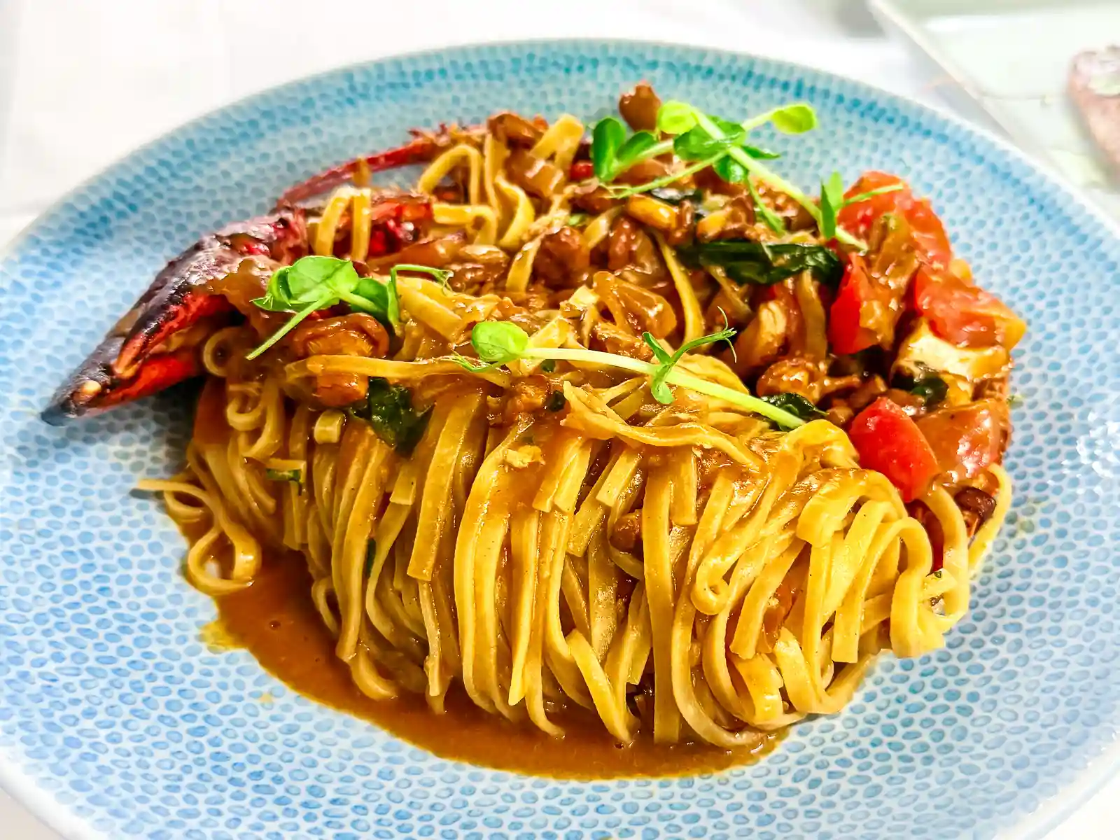 Pastagericht mit breiten Nudeln, würziger brauner Sauce, Tomatenstücken, Kräutern und einem Hummerscherenstück auf einem blau gemusterten Teller.